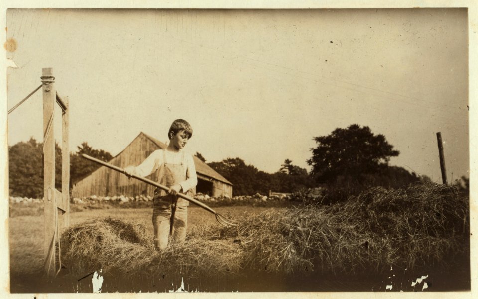 Carl Brown, eleven years old. He and his father run a farm of 160 acres in Southern Vermont. He is overgrown, sluggish, but he said- 'I'd ruther go to school.' See Hine Report, Rural Child LOC nclc.00309