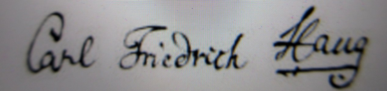 Carl Friedrich Haug Historiker IMG 1193
