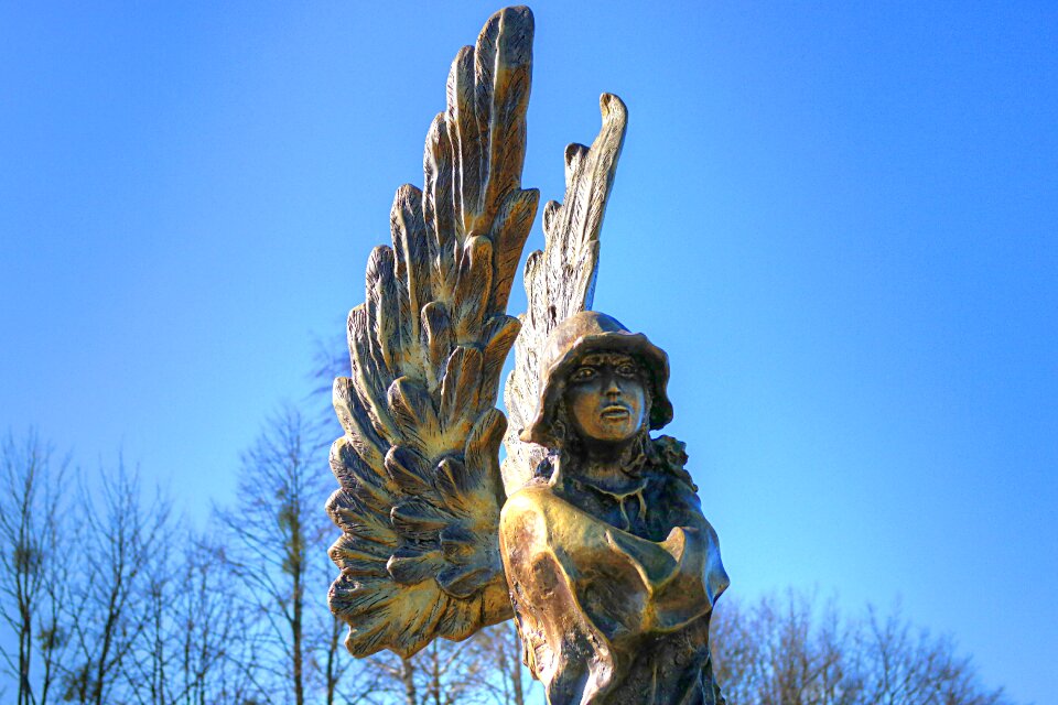 At the court of tree sculpture