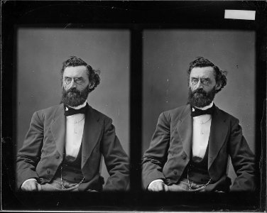 Carl Schurz - NARA - 529278