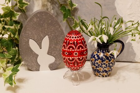 Easter eggs snowdrop hare photo