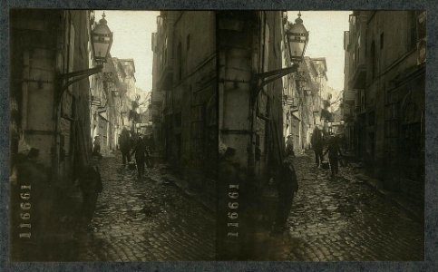Cobblestones, dirt and dogs in a typical thoroughfare of Constantinople, Turkey LCCN2004672929