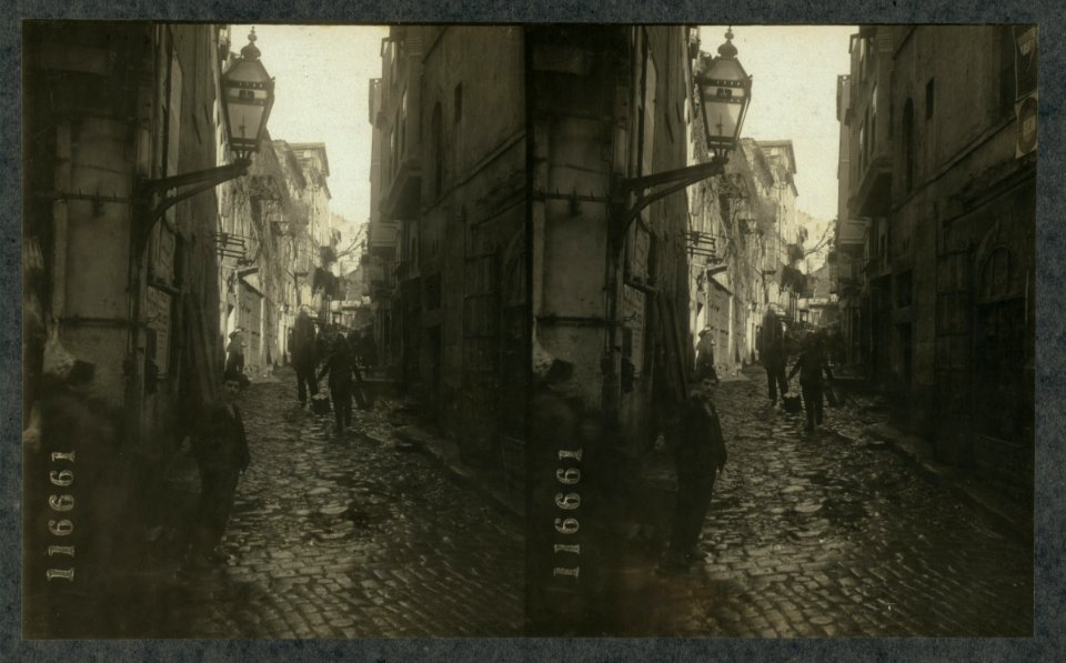 Cobblestones, dirt and dogs in a typical thoroughfare of Constantinople, Turkey LCCN2004672929