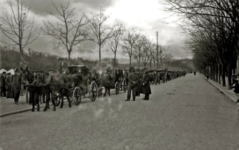 Coches de caballos en el paseo del Árbol de Gernika (1 de 1) - Fondo Car-Kutxa Fototeka