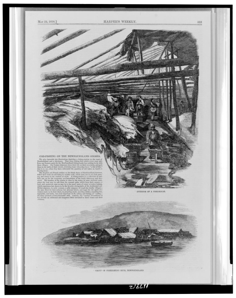 Cod-fishing on the Newfoundland shores LCCN97512329