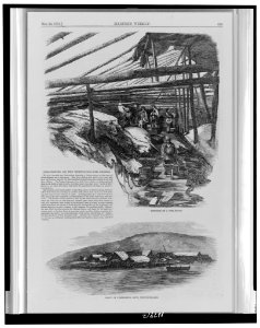 Cod-fishing on the Newfoundland shores LCCN97512329