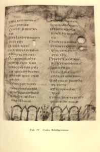 Codex Rehdigerianus photo