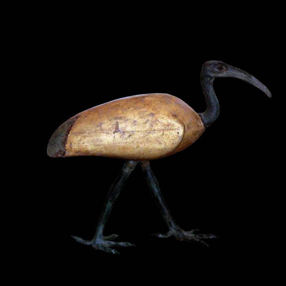 Coffin for an ibis-MAHG 20148-IMG 9422-black