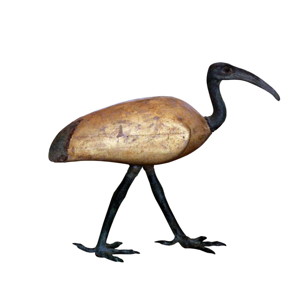 Coffin for an ibis-MAHG 20148-IMG 9422-white