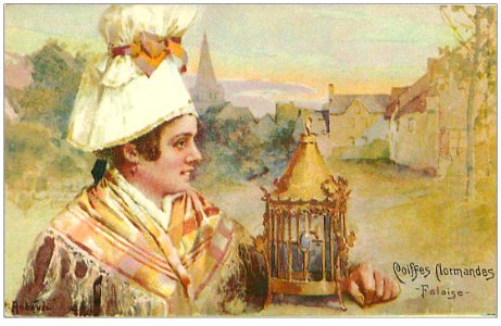 Coiffe de Falaise