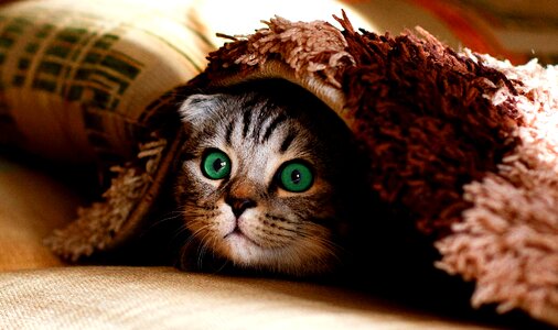 Cute cheeky funny