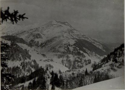 Col di Lanaspitze, im Vorgrund col di Rode, links Siefsattel im Tal Ort Contrin. (BildID 15459681)