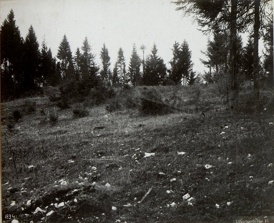 Col Tonder (Triangulierungspunkte.) (BildID 15648268)
