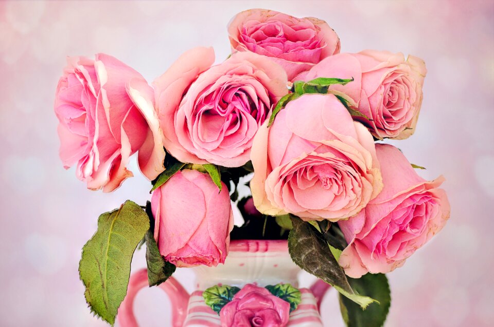 Love petal pink