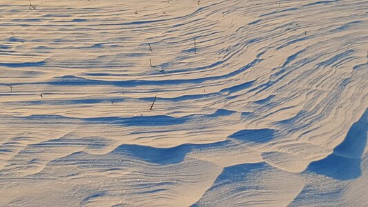 Wind wintry mood photo