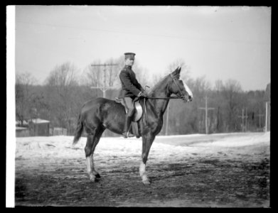 Col. Danl L. Tate, 5th Cavalry LCCN2016826106