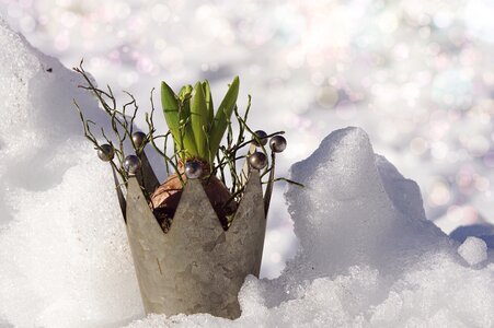 Winter cold environment