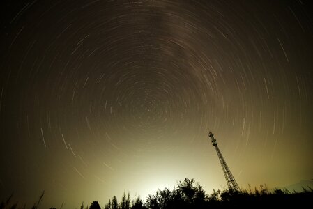 Night shy brown stars