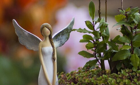 Decoration white bokeh