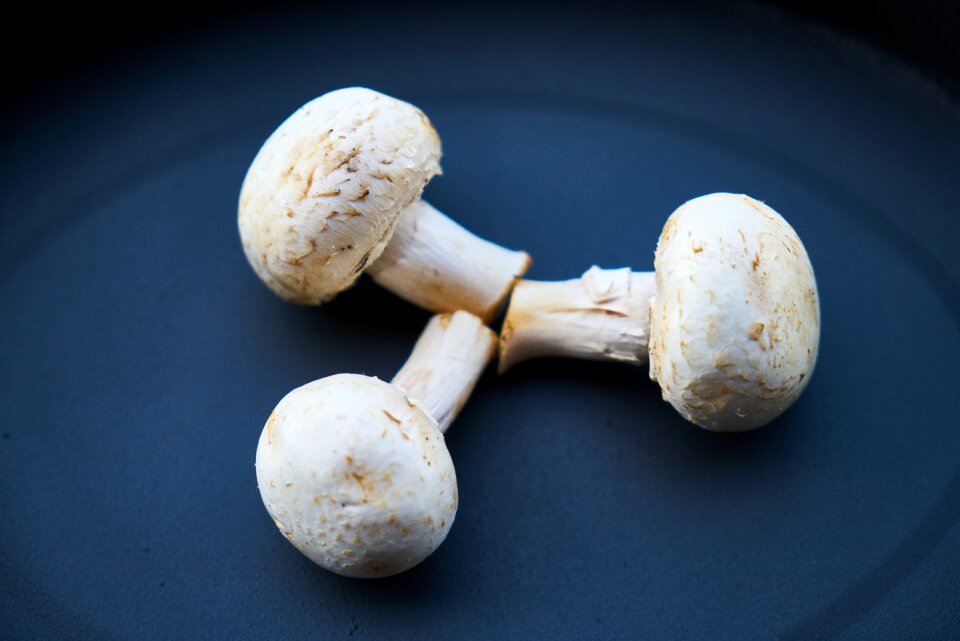 Vegetable healthy toxic