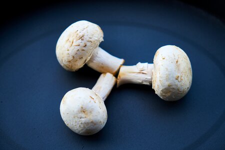 Vegetable healthy toxic