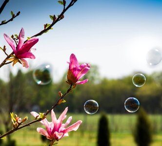 Spring green pink