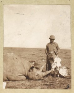 Col. Roosevelt, rhino and bustard shot from rhino LCCN2013645468