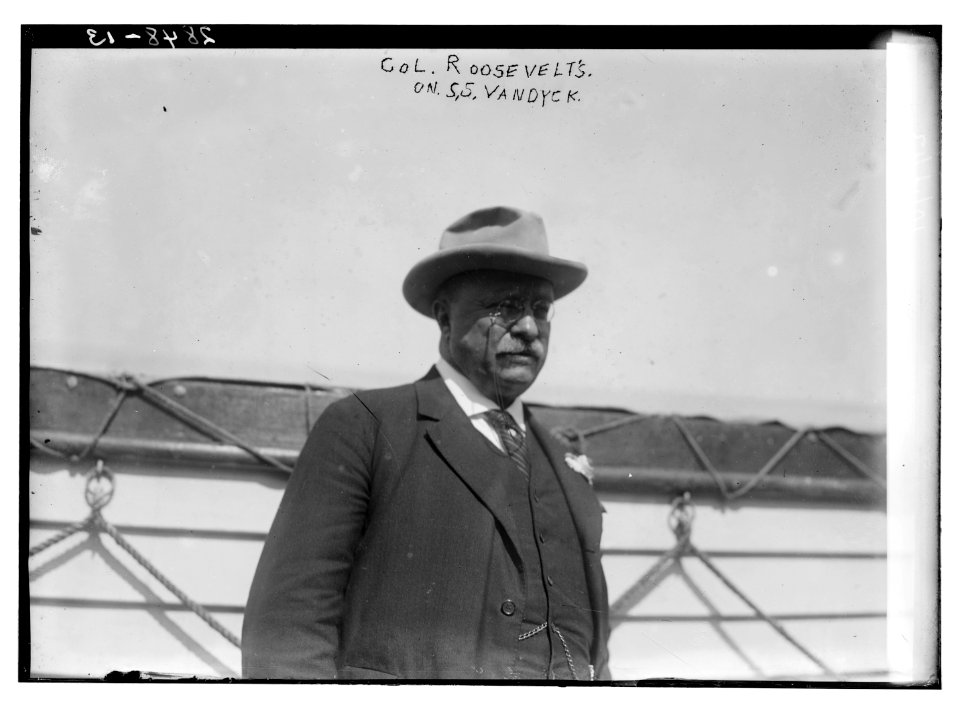 Col. Roosevelt on S.S. VANDYCK LCCN2014694406
