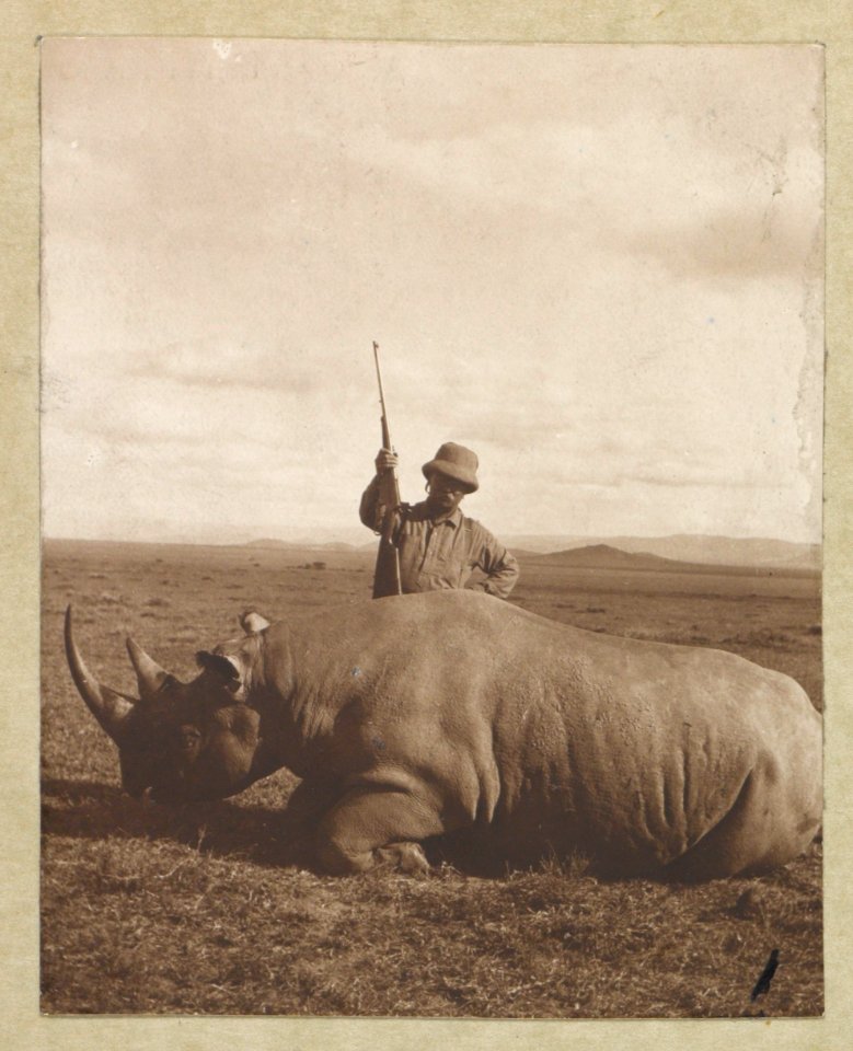 Col. Roosevelt with his big bull rhino LCCN2010645479