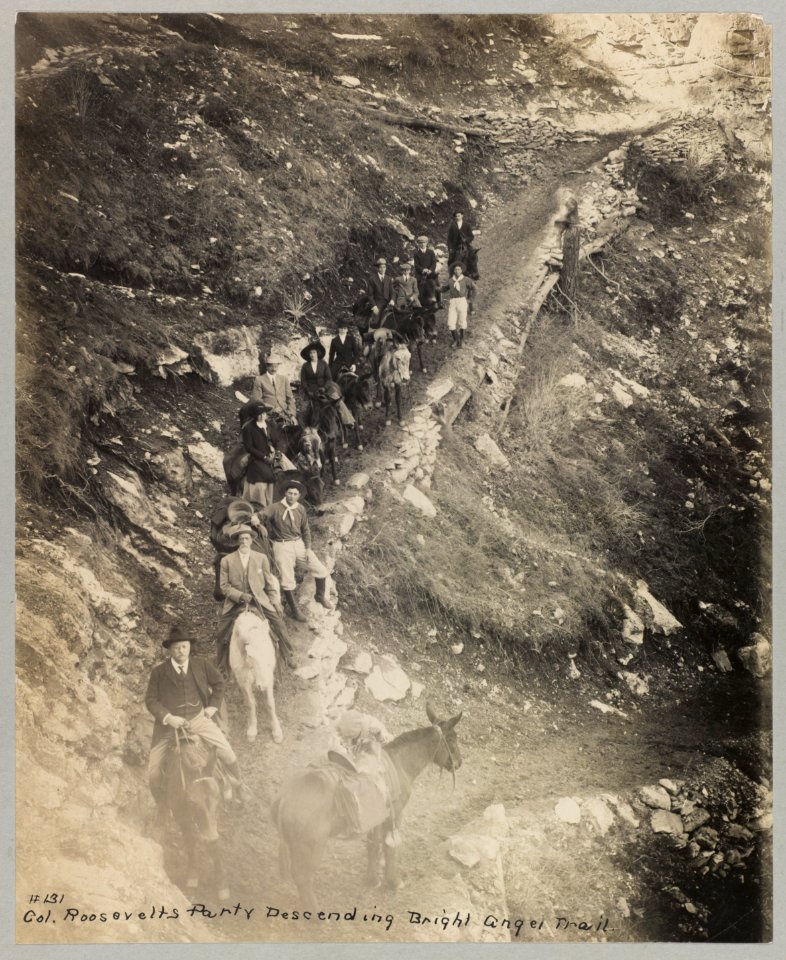 Col. Roosevelt's party descending Bright Angel Trail LCCN2001695447