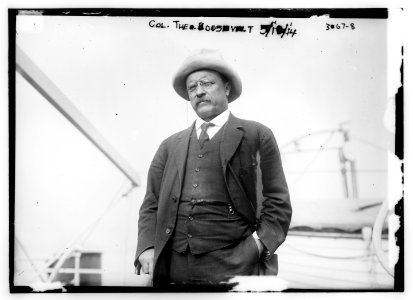 Col. Theo. Roosevelt LCCN2014696062