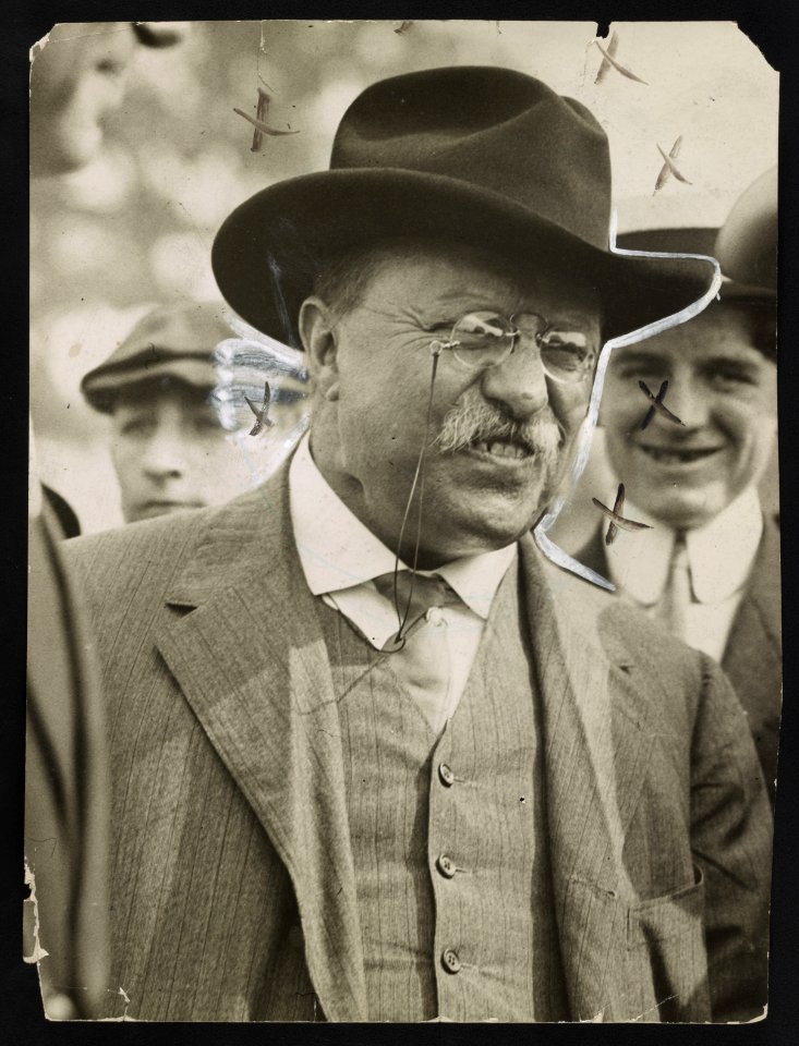 Col. Theodore Roosevelt LCCN2013650900