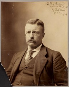 Col. Theo Roosevelt LCCN2009631540
