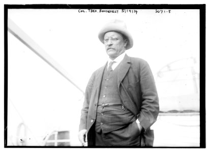 Col. Theo. Roosevelt, 5-19-14 LCCN2014696098