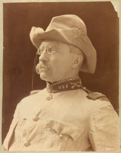 Col. Theodore Roosevelt in uniform LCCN2009631385