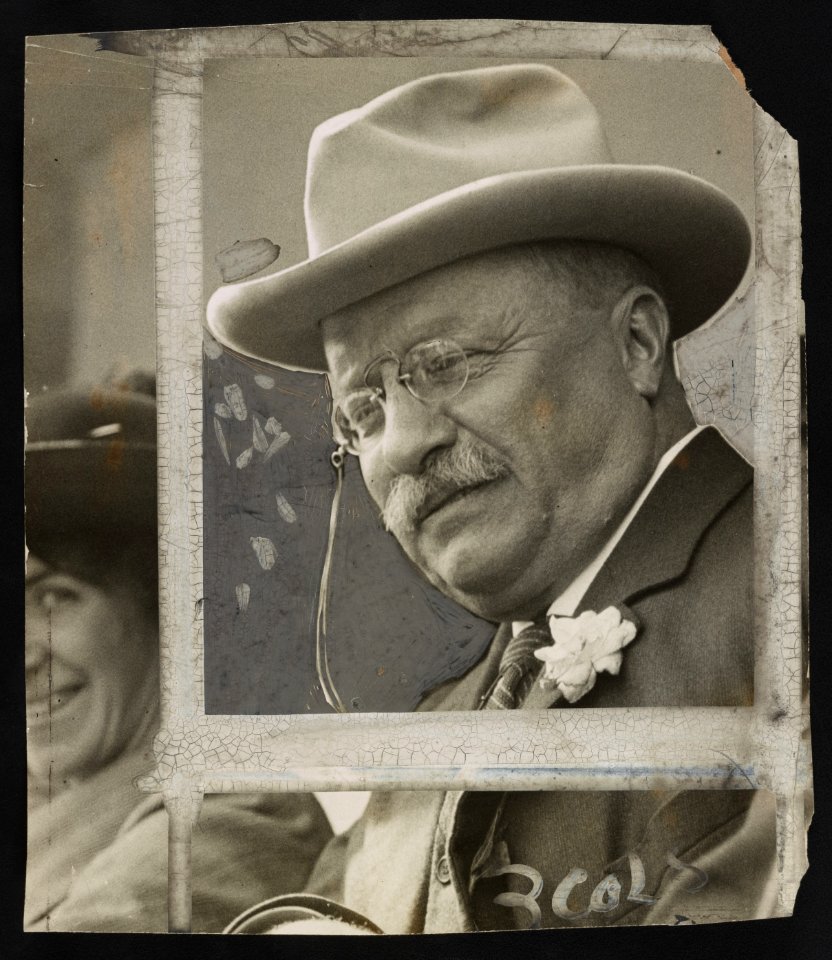 Col. Theodore Roosevelt LCCN2013650905