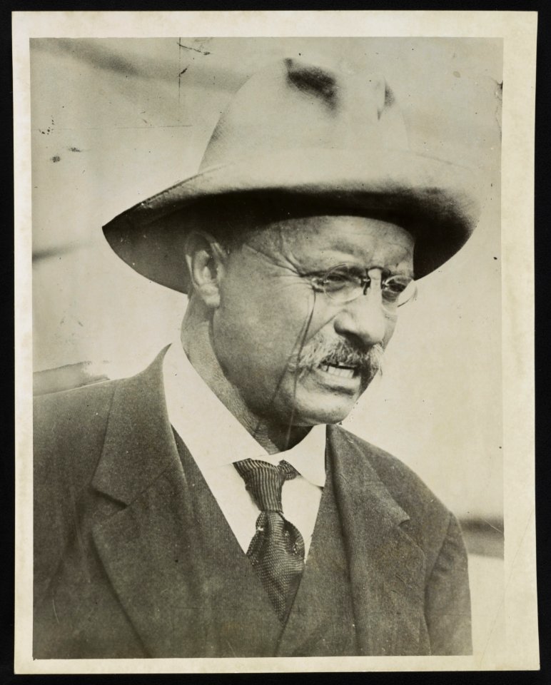 Col. Theodore Roosevelt LCCN2013650917