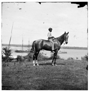 Cold Harbor, Virginia. Gen. John A. Rawlin's horse LOC cwpb.01700