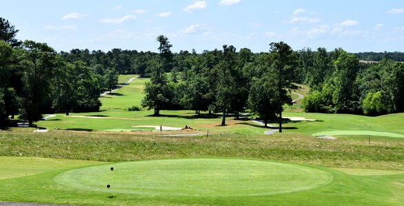 Fairway putt tee photo