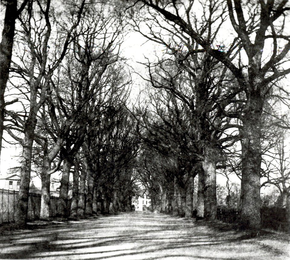 Coley Avenue, Reading, c. 1845