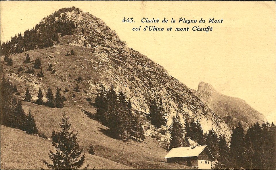 CollectCP(anté1940)-0031