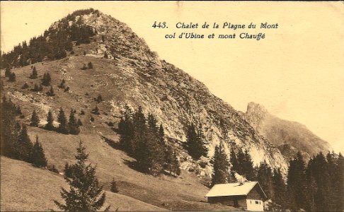 CollectCP(anté1940)-0031