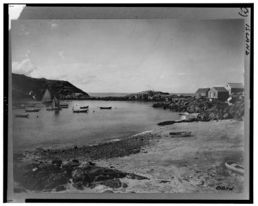 Blackhead, the harbor, Monhegan Island, Maine LCCN99401004
