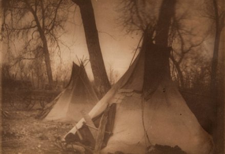 Blacklodge Tepees