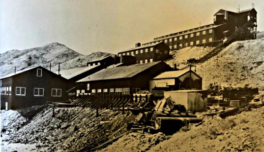 Blair Nevada Stamp mill c 1907 photo