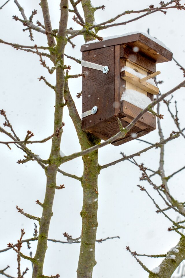 House nature aviary