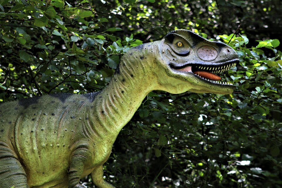 Dinosaur wildlife lizard