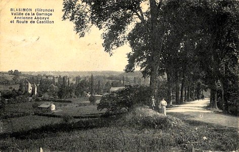 Blasimon - vue générale 1