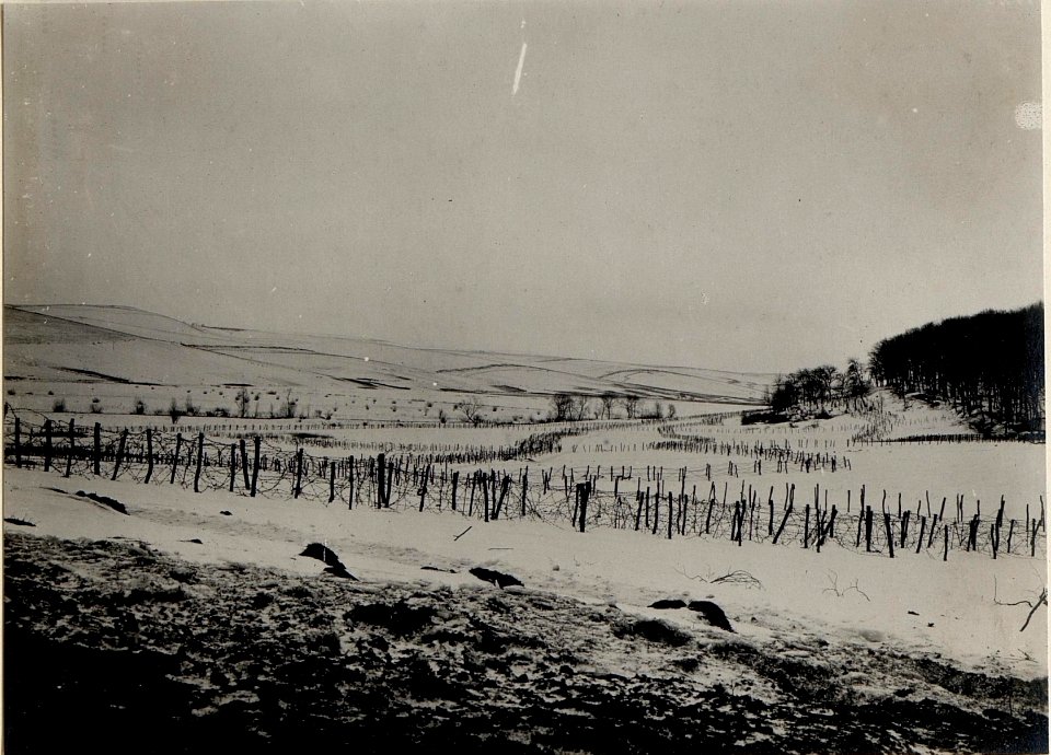 Blick auf Cerniowka Niederung. (BildID 15529668)