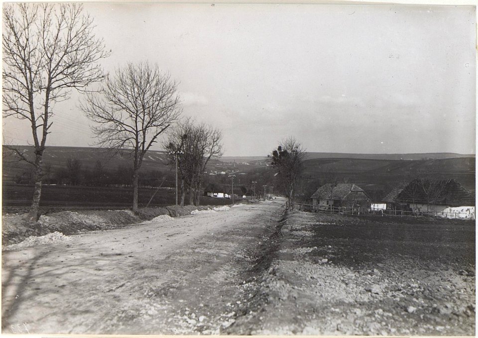 Blick auf das Gelände Brzezany Lesniki (BildID 15438201)